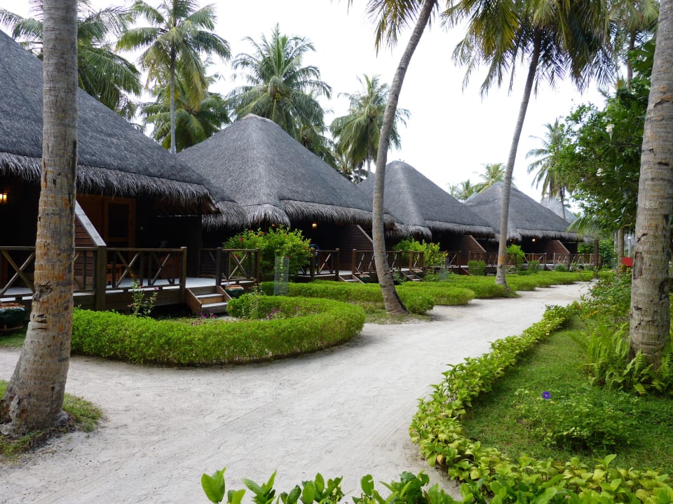Gartenbungalows Bandos Maldives