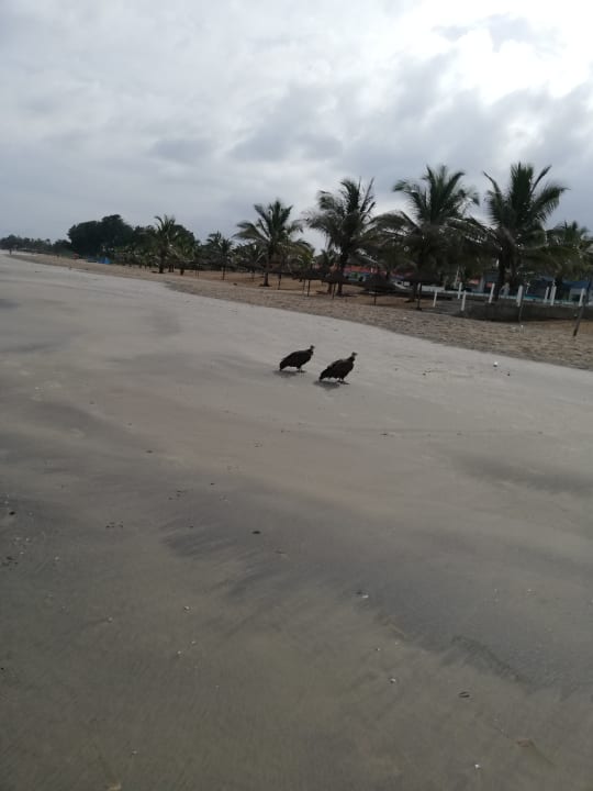 Strand The Kairaba Beach Hotel