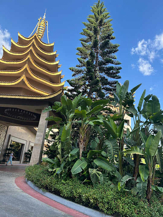 Ausblick Hotel Royal Dragon