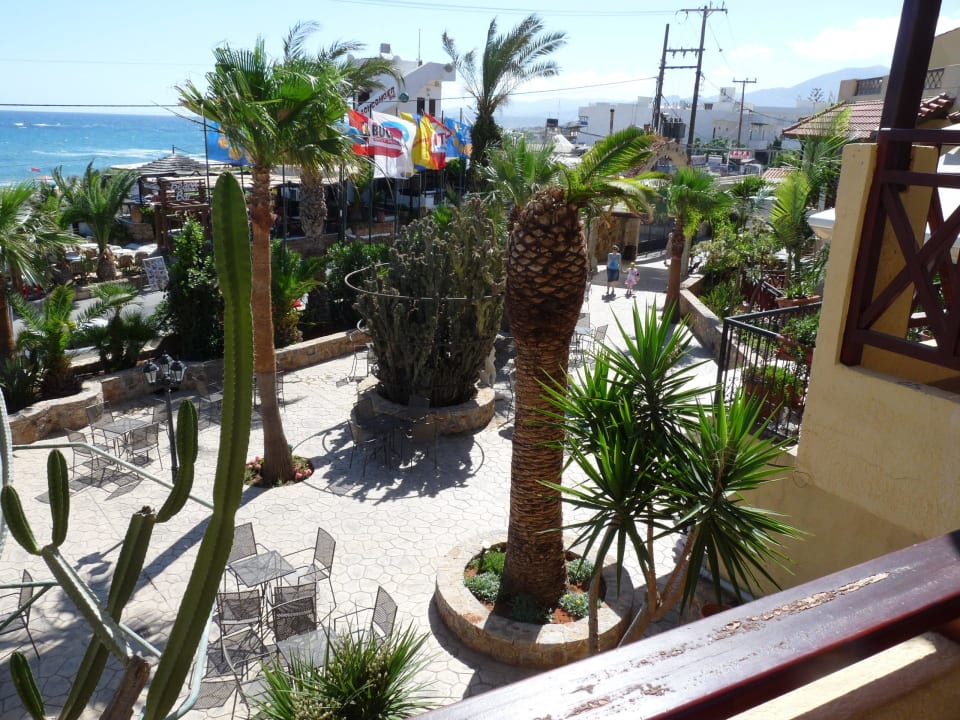 Superior Cactus Beach