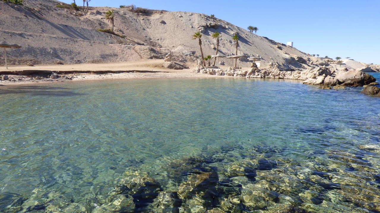 Meer Pickalbatros Citadel Resort