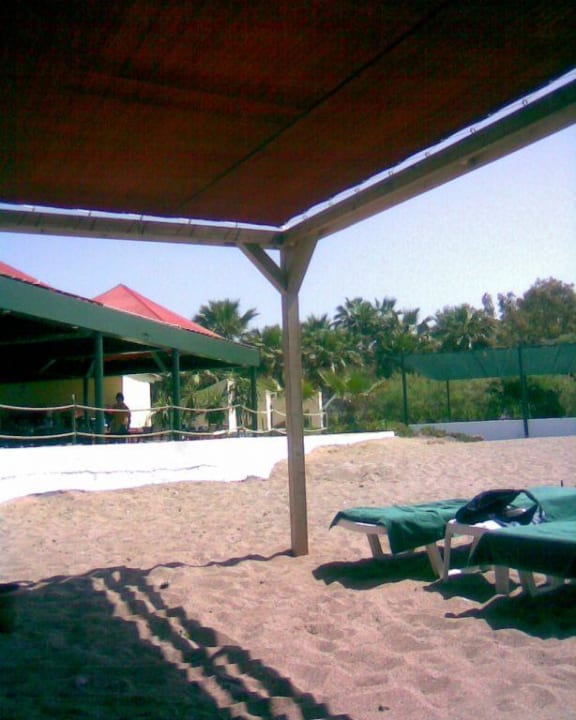 Vom zum Strandrestaurant und Bar Monachus Family Resort Sorgun