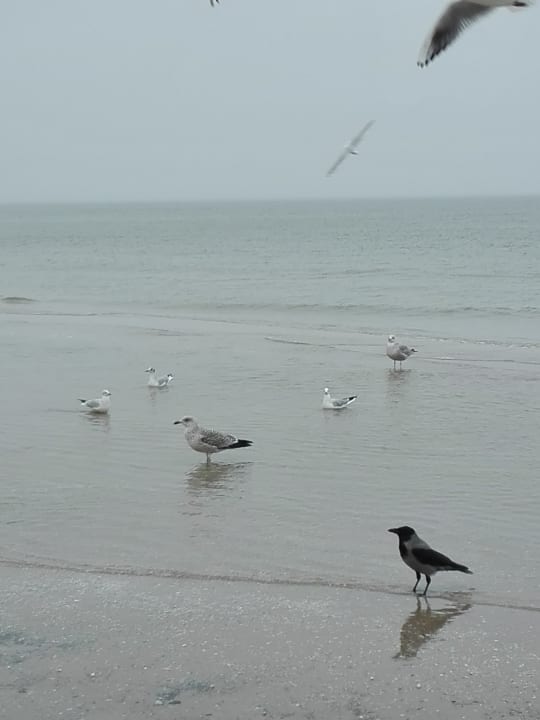 Strand Inselhof Vineta