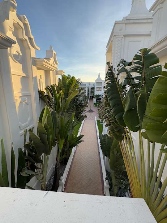 Ausblick Hotel Riu Palace Riviera Maya