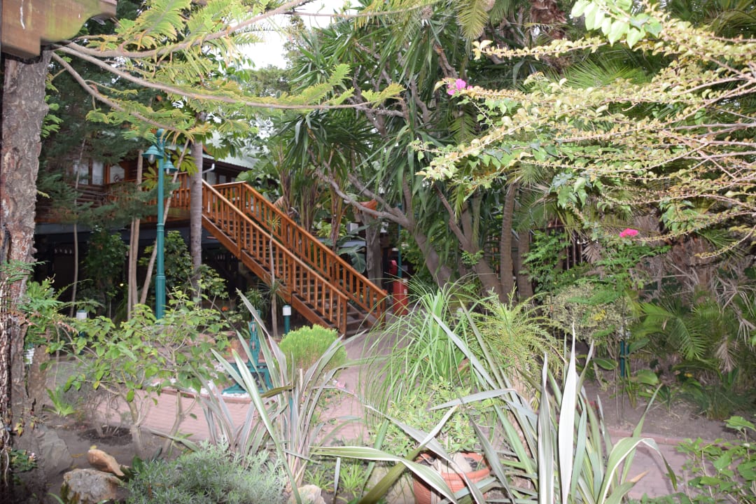 Gartenanlage The Graywood Hotel