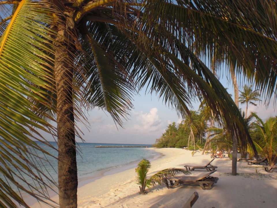 Vom eigenen Strand Kuredu Island Resort & Spa