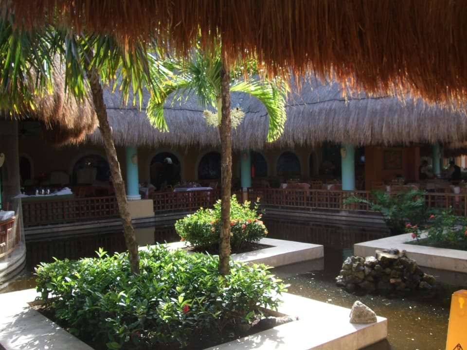 IBEROSTAR Hotel Paraiso del Mar Iberostar Waves Paraiso del Mar