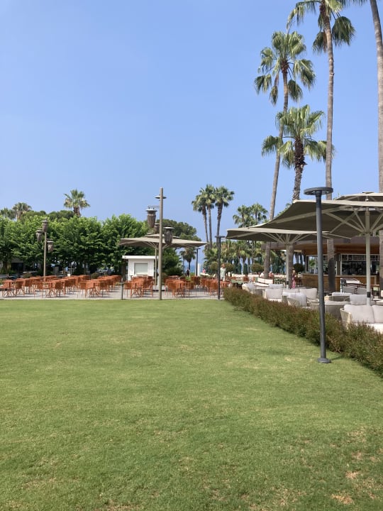 Gastro Acanthus Cennet Barut Collection