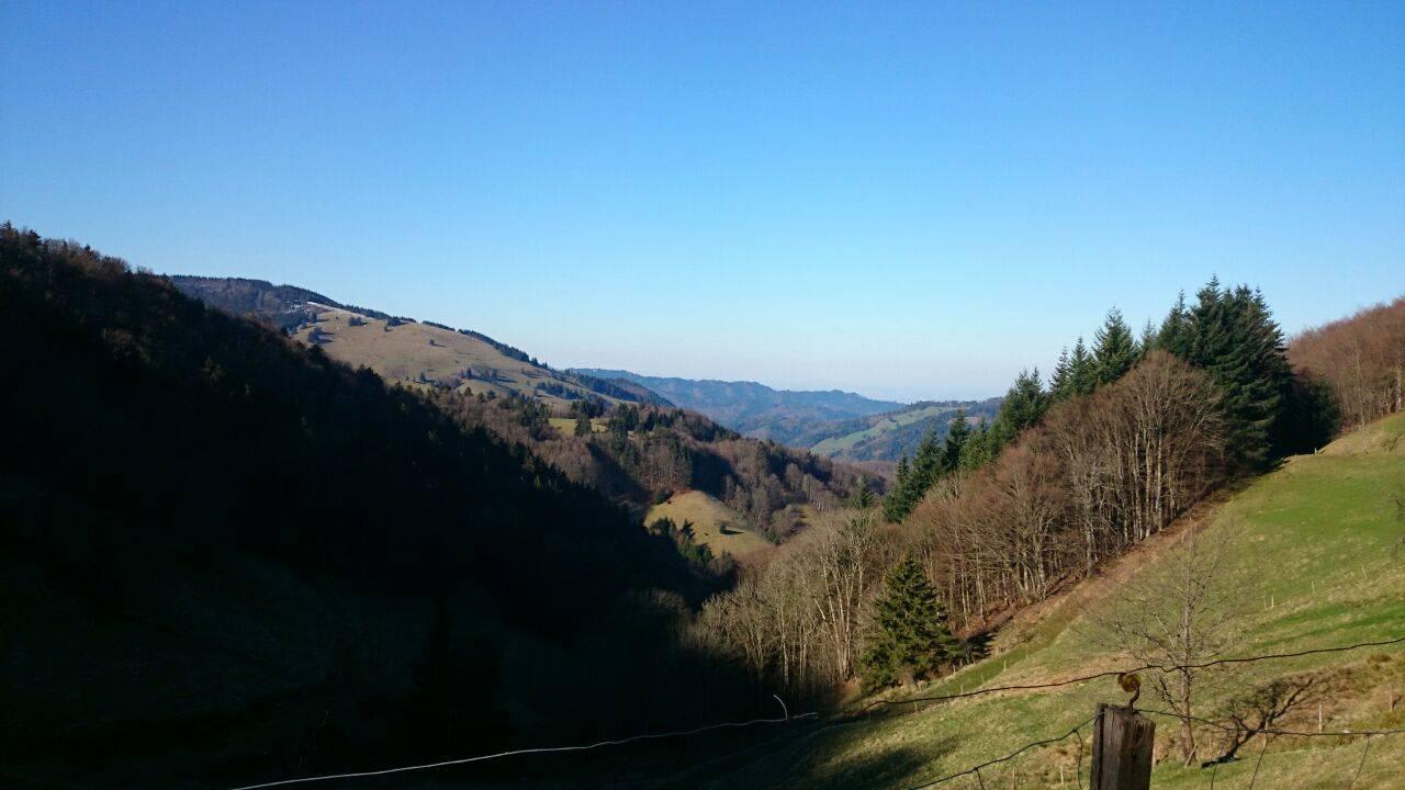 Ausblick Ferienwohnungen Milchmattenhof