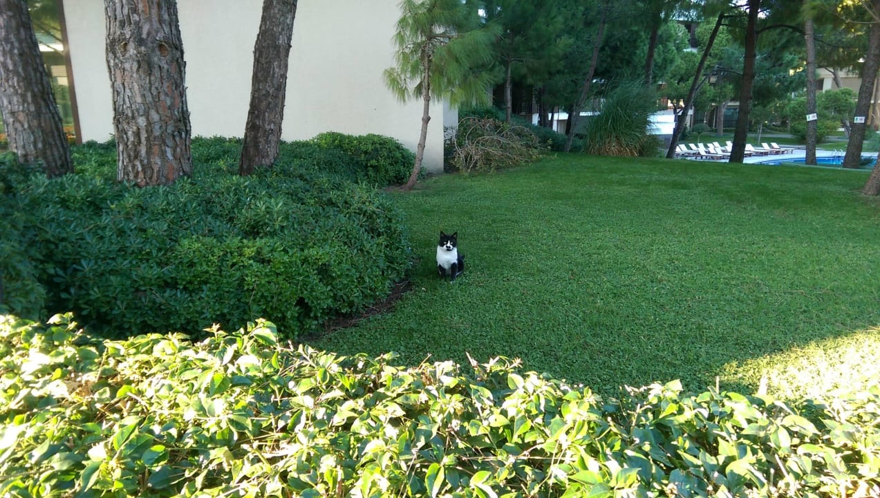 Отель Voyage Belek Golf & Spa