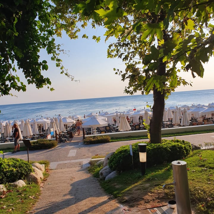 Strand Side Star Elegance