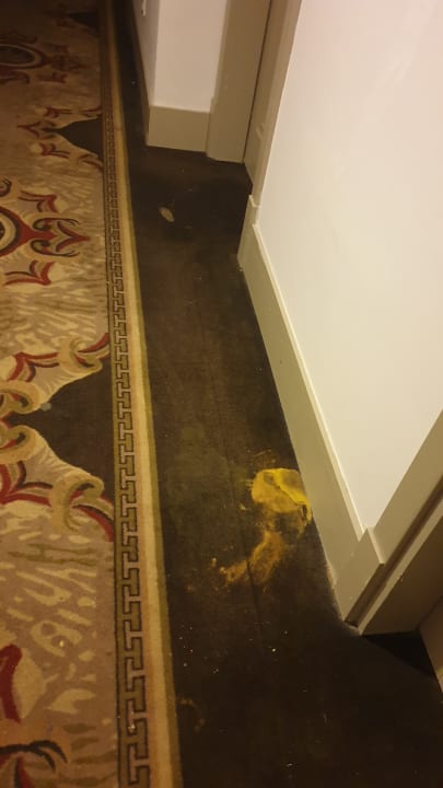 Zimmer Well Palace Side