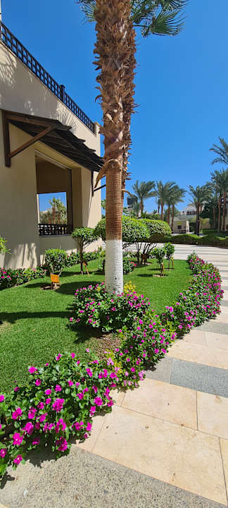 Gartenanlage Steigenberger Aqua Magic