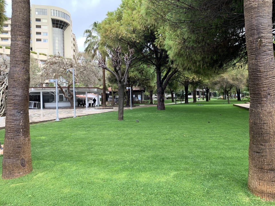 Gartenanlage Arum Barut Collection