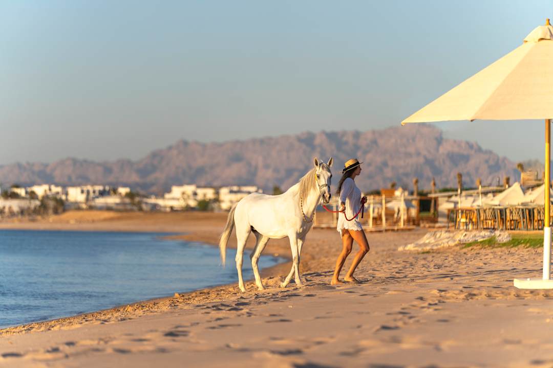 Strand Rixos Premium Magawish Suites & Villas