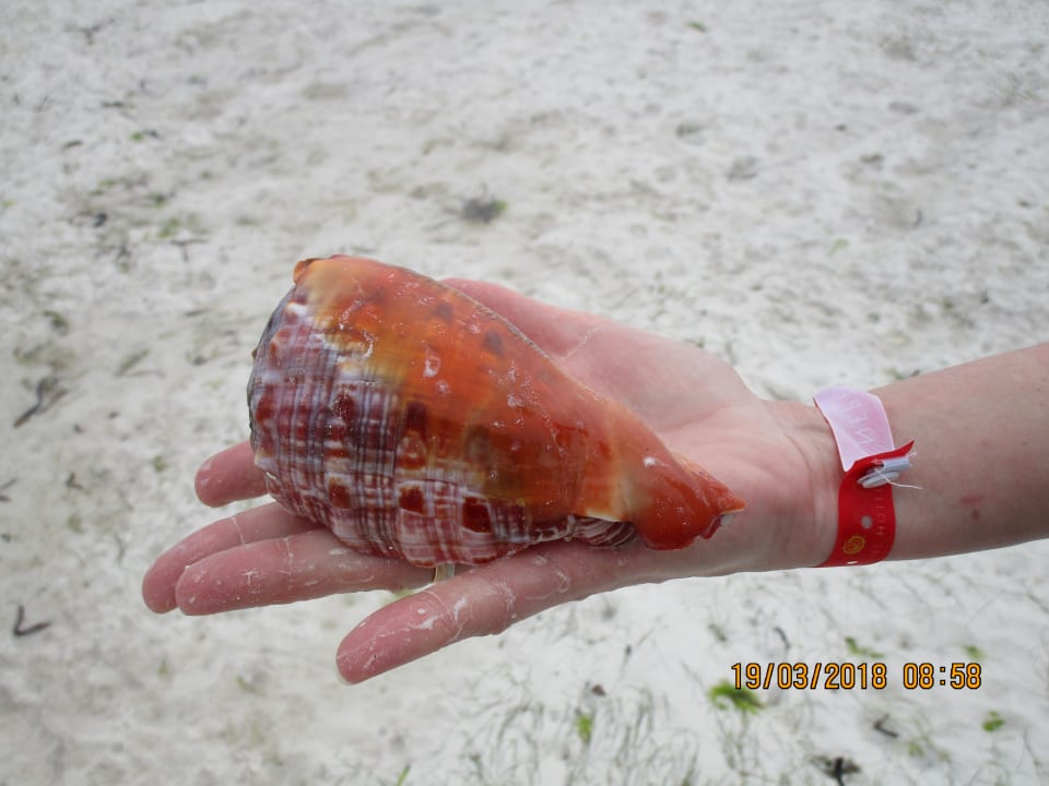 Strand Neptune Pwani Beach Resort & Spa