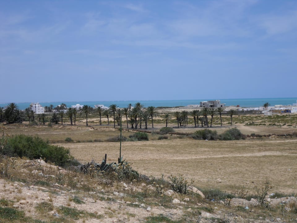 Links vom Hotel Vincci Safira Palms