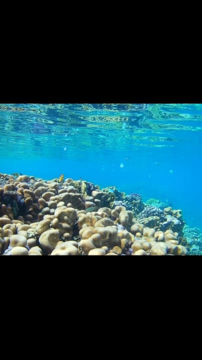 Strand Stella Garden Resort & Spa, Makadi Bay