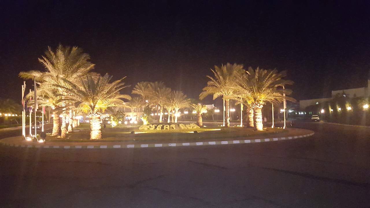 Gartenanlage Desert Rose