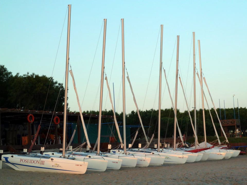 Die 7 Kats in der Morgensonne Neptune Luxury Resort