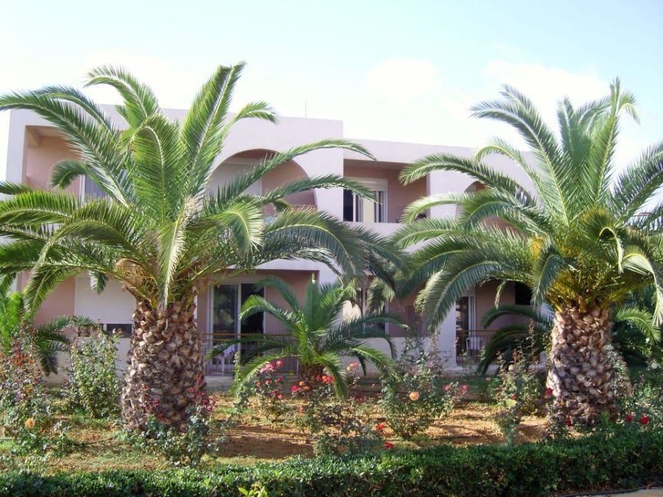 Family bungalow rooms Delfina Tropic Beach