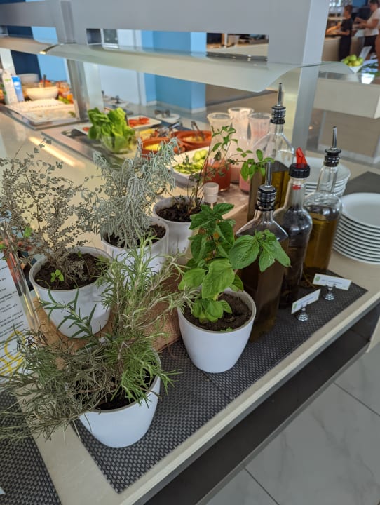 Gastro Asterias Beach Resort