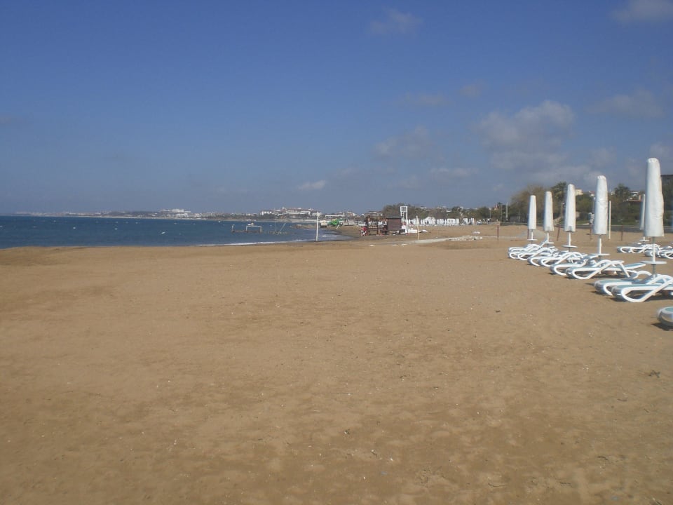 Strand PALOMA Perissia