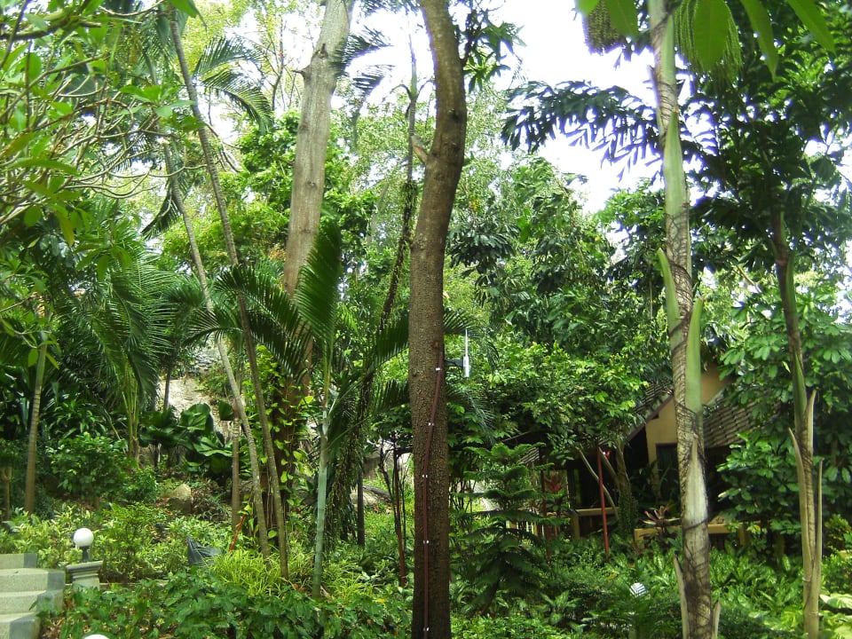 Februar 2016 The Fair House Beach Resort