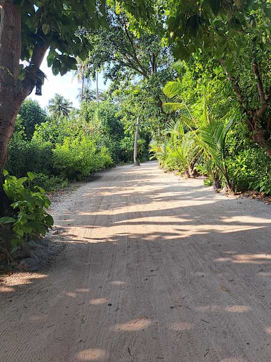 Gartenanlage Kuredu Island Resort & Spa