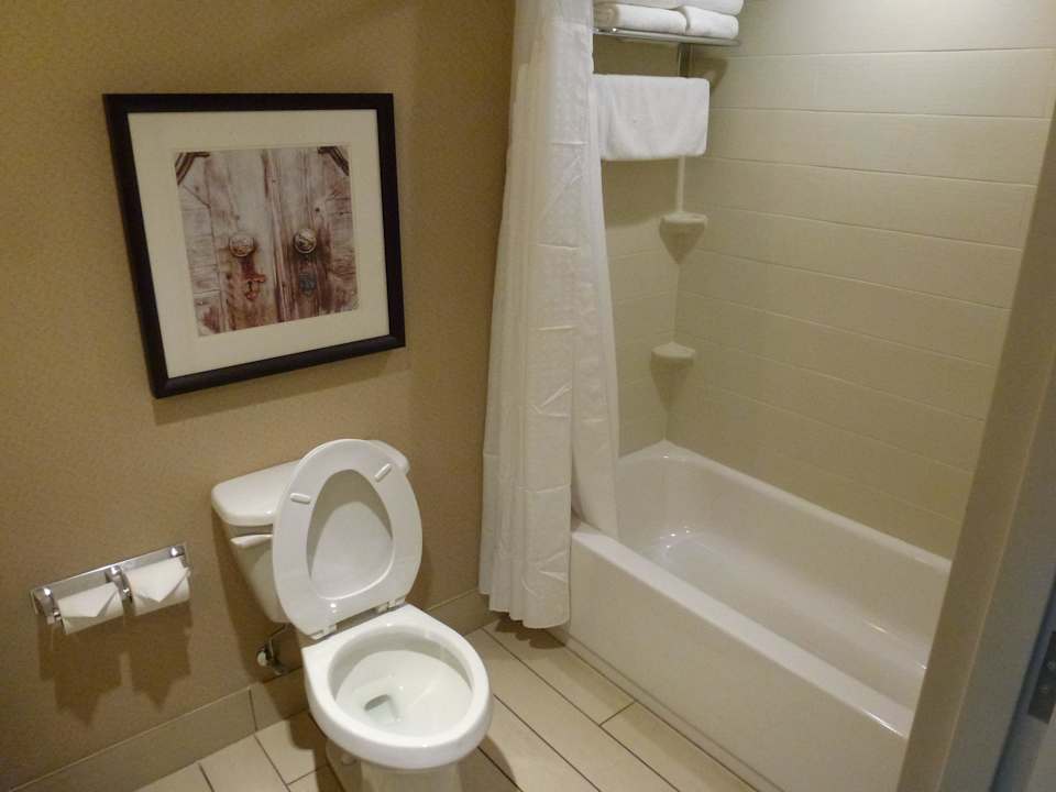 Schönes und sauberes Bad Holiday Inn Charleston Historic Downtown