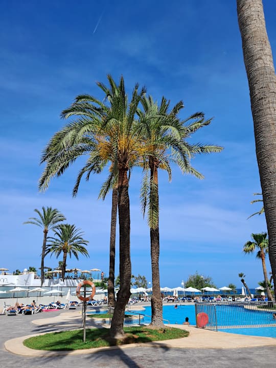 Pool Aparthotel Playa Dorada