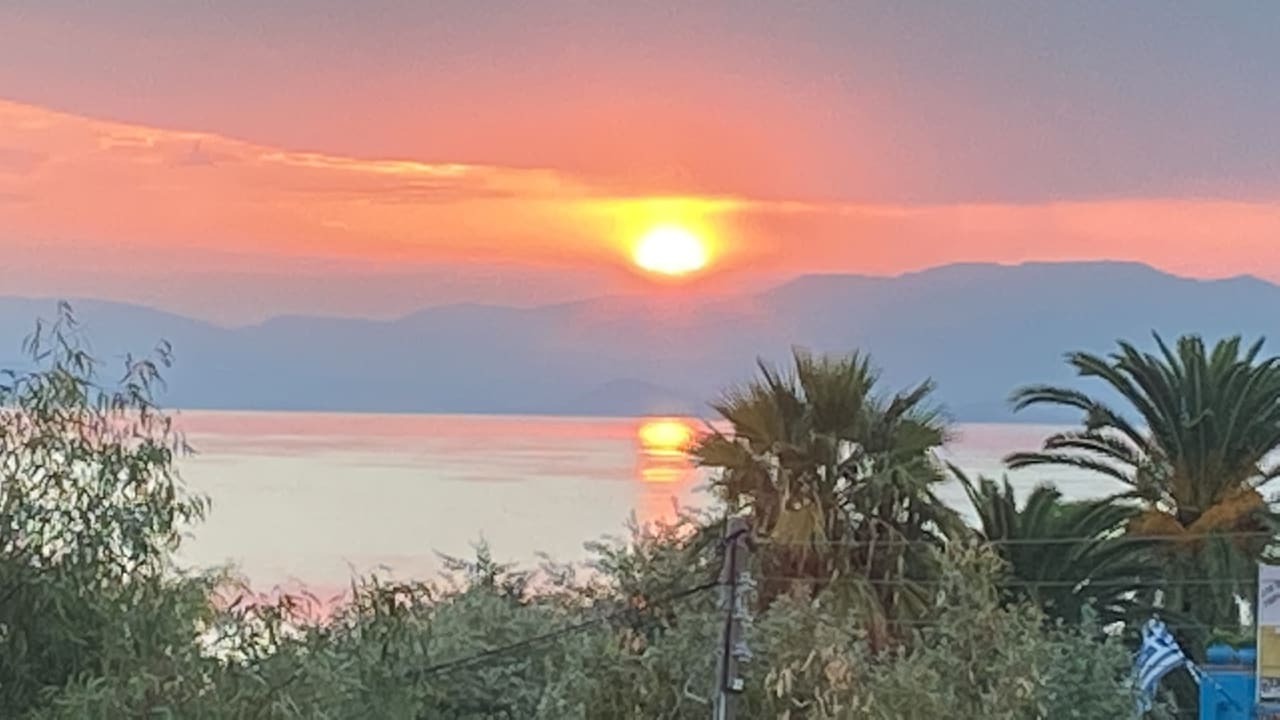 Ausblick Hotel Albatros