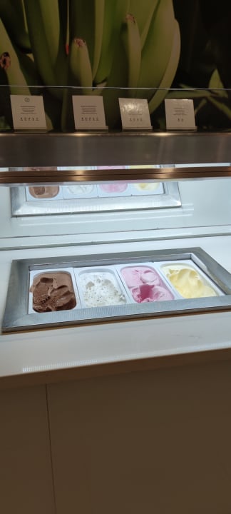 Gastro Iberostar Waves Bouganville Playa