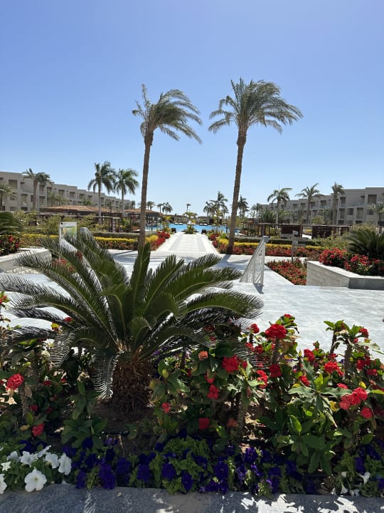 Außenansicht Steigenberger Resort Ras Soma