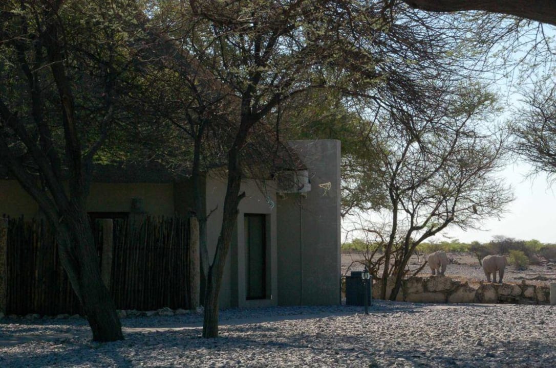 Elefanten am Wasserloch und Premier Waterhole-Chalet Okaukuejo Camp
