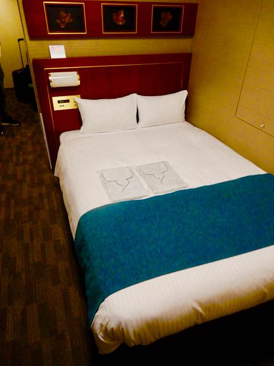 Zimmer Hotel Villa Fontaine Jimbocho