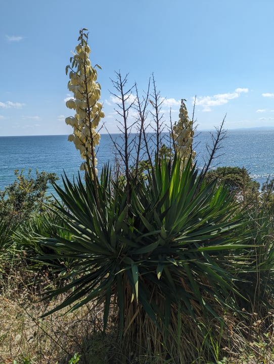 Ausblick Hotel Longosa