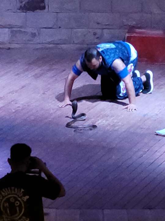 Sonstiges Amarina Queen Resort Marsa Alam