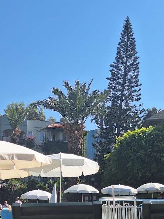 Pool Hotel Gardenia Beach