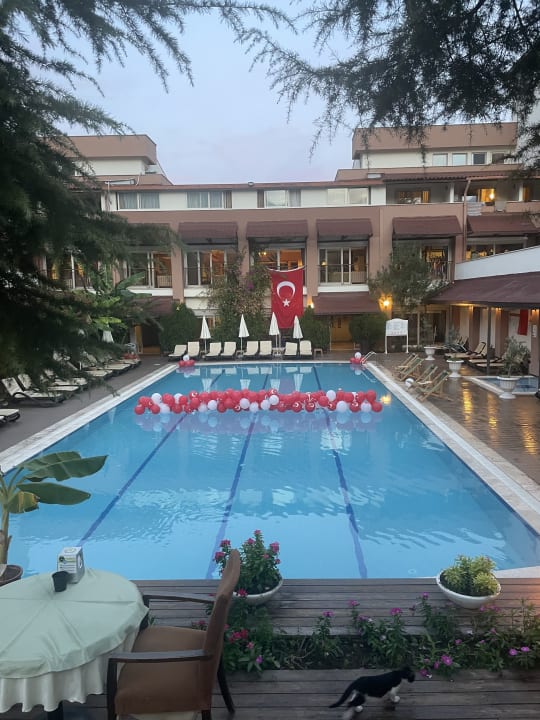 Pool Dg Hotels Rose Resort