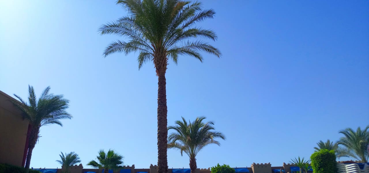 Ausblick Hotel Titanic Palace