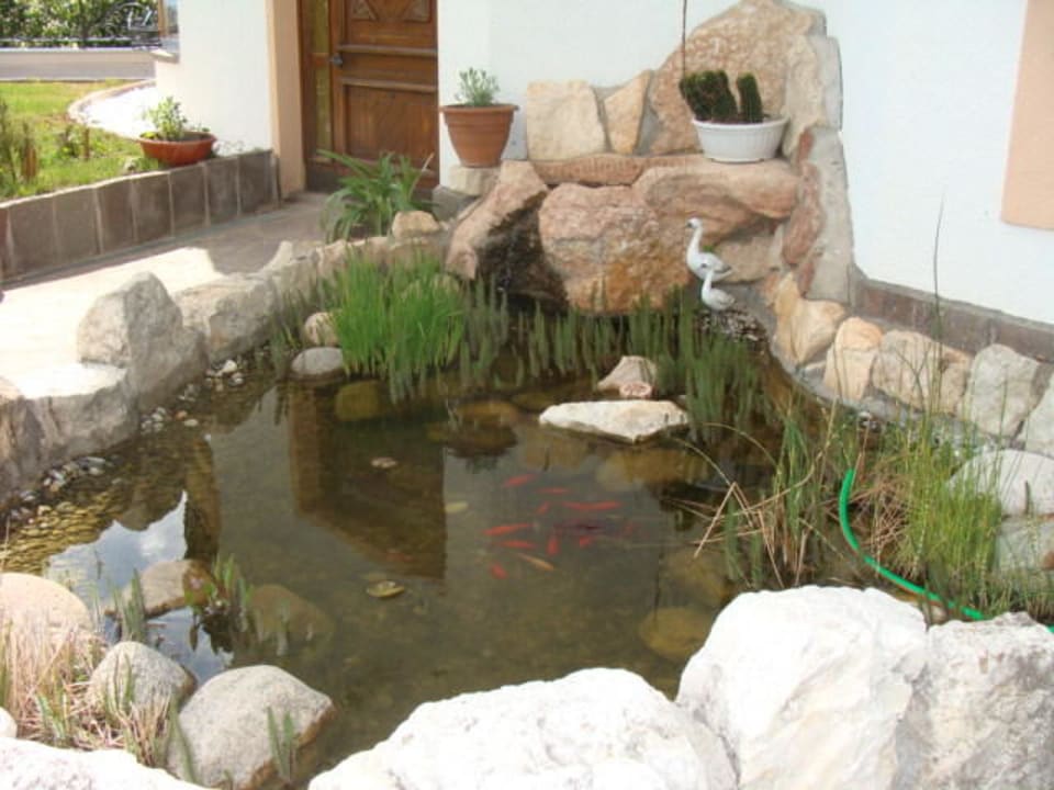 Piccolo laghetto con i pesci rossi Hotel Belsoggiorno