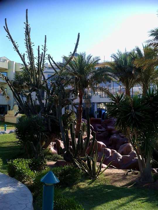 Kaktus Moreno Horizon Spa & Resort