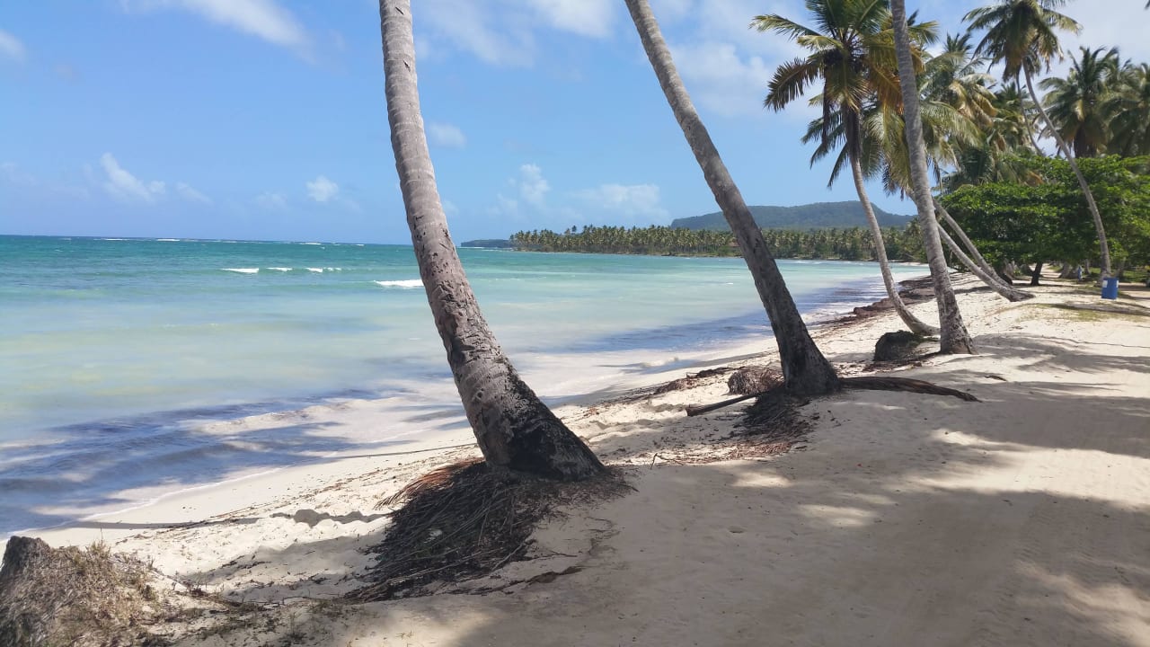Strand in Las Galeras Villa Serena