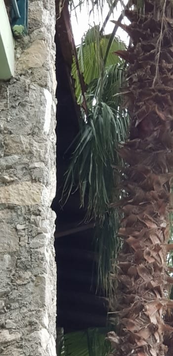 Außenansicht Centro Vacanze La Limonaia