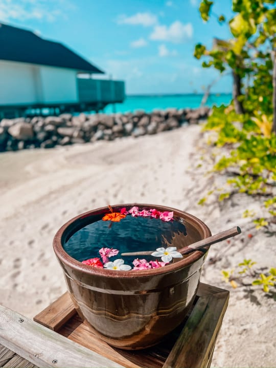 Strand TUI BLUE Olhuveli Romance