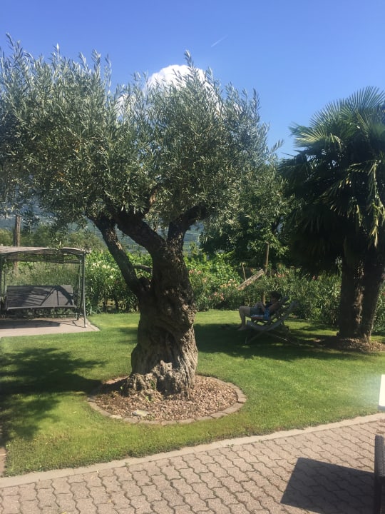 Gartenanlage Garni Sandhof