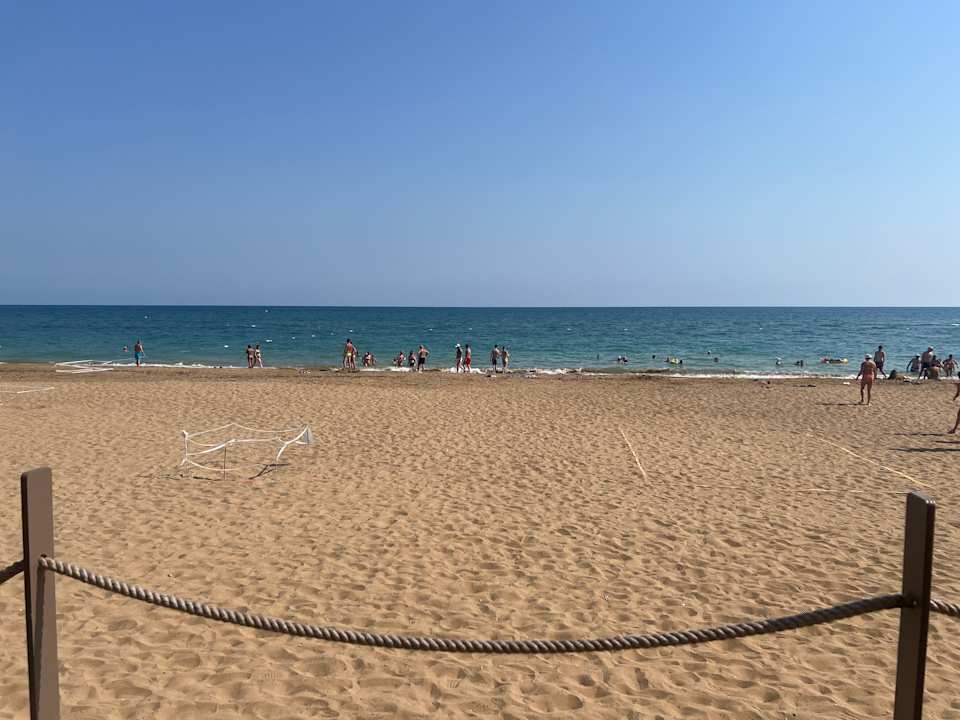 Strand Seashell Vega