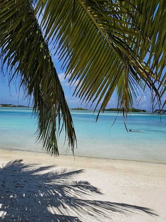 Strand Cinnamon Dhonveli Maldives