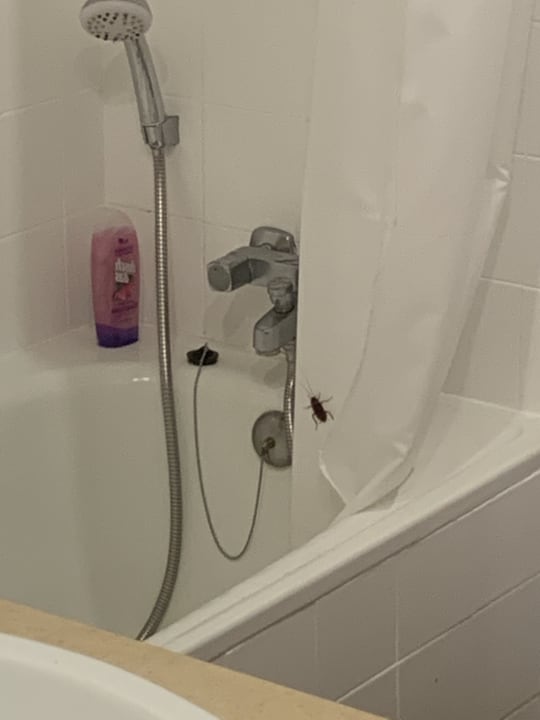 Zimmer Hotel Dom Pedro Garajau